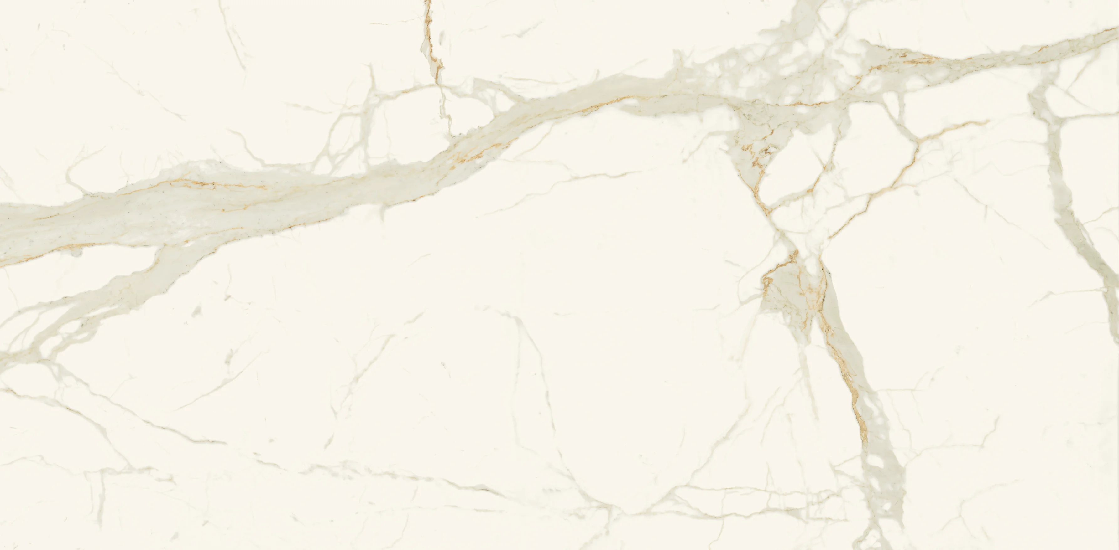 Calacatta Gold Portrait